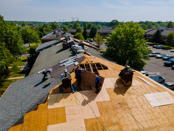 Professional Roofing Contractor in Haslett, MI