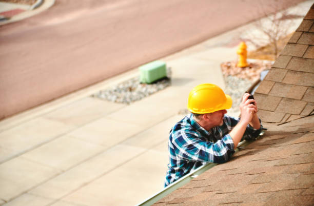 Best Roof Gutter Cleaning  in Haslett, MI