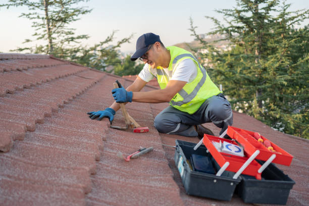 Best Roof Maintenance Services  in Haslett, MI