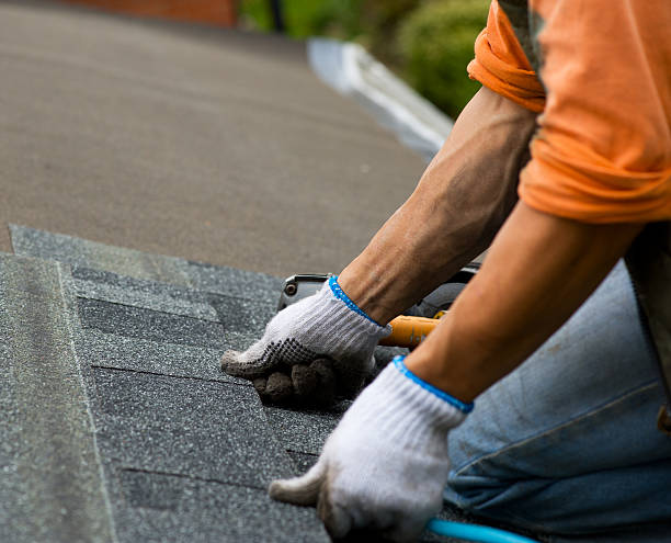 Best Gutter Installation and Roofing  in Haslett, MI